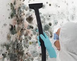 Best Residential Mold Inspection & Testing in USA